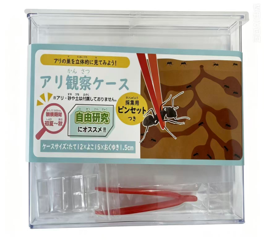 Educational Science Toys