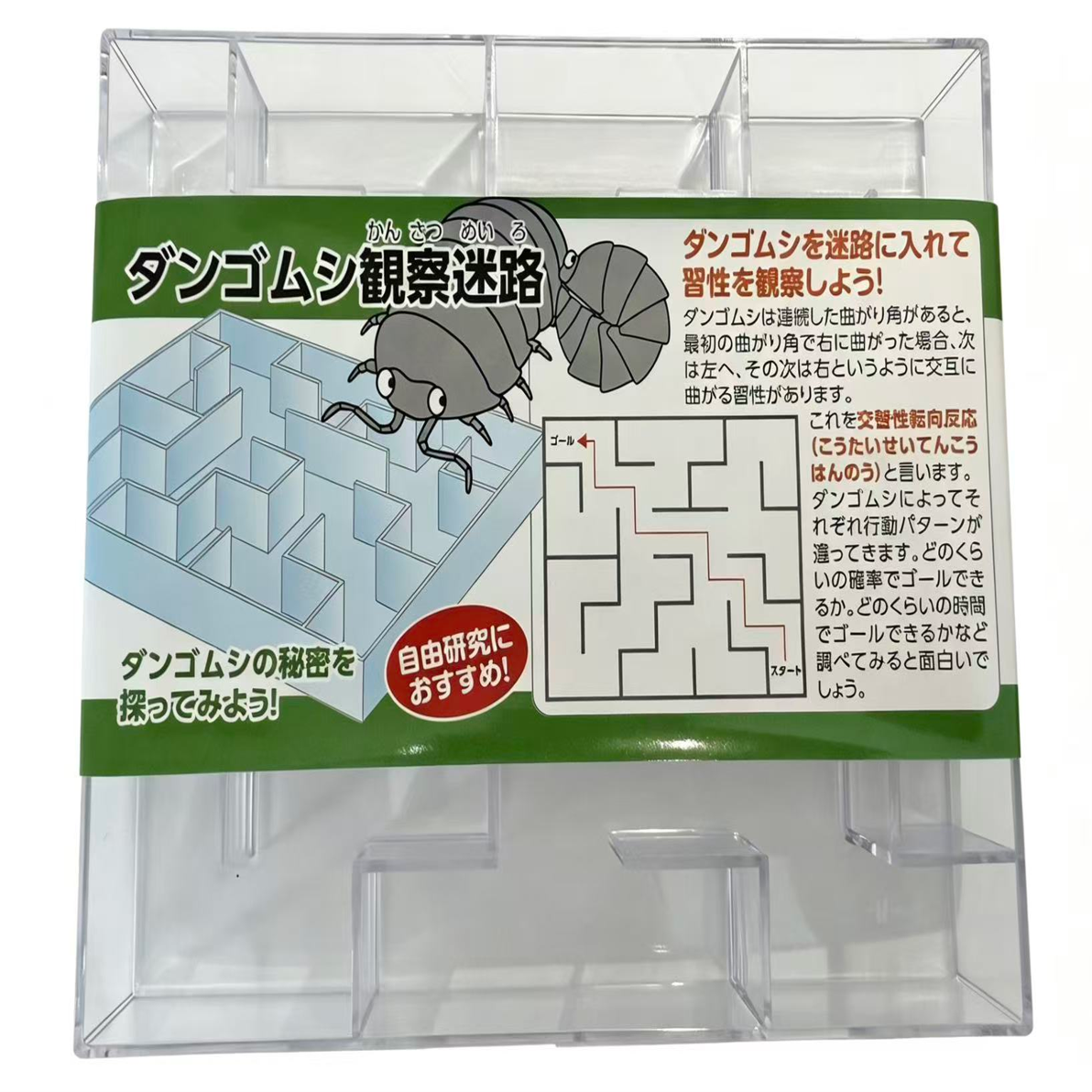 Full transparent isopod maze observation box